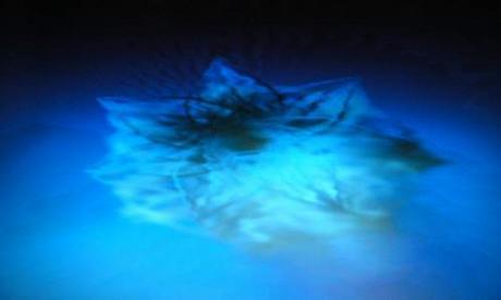 460>_667442